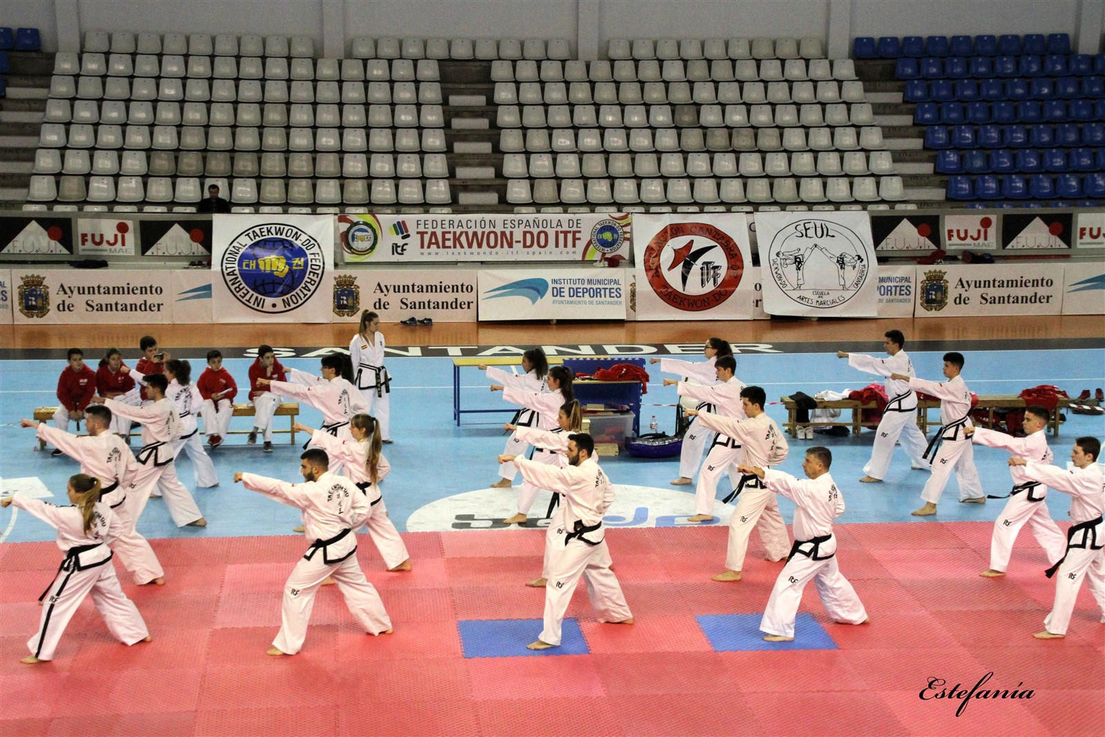 Taekwondo (209).jpg